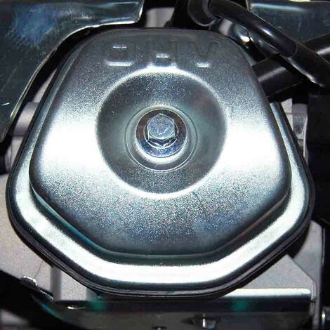 47374086_4.jpg